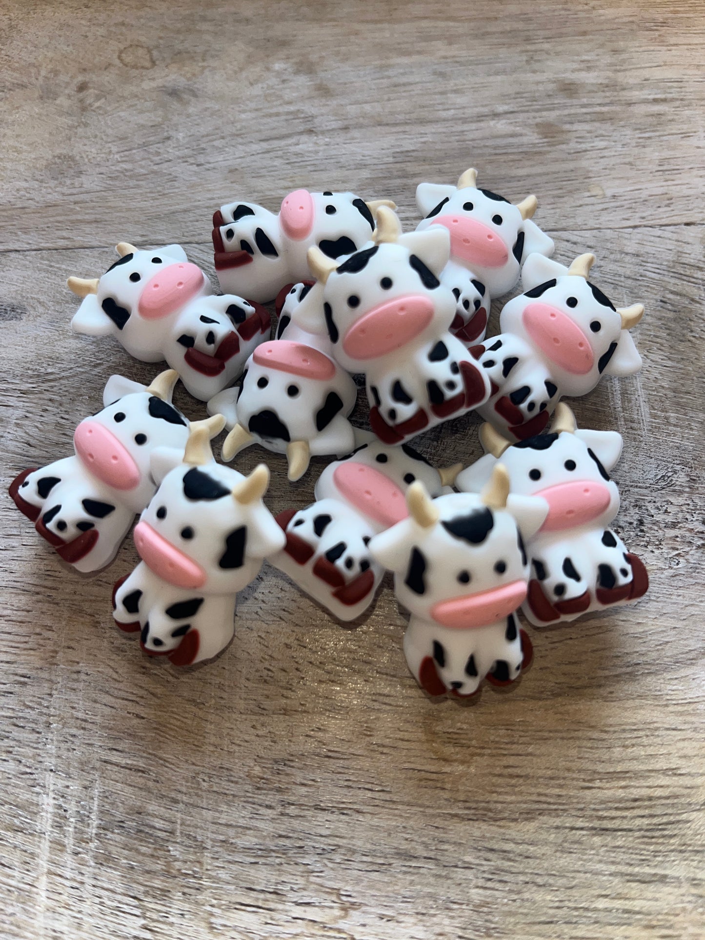 3D Cow Focal