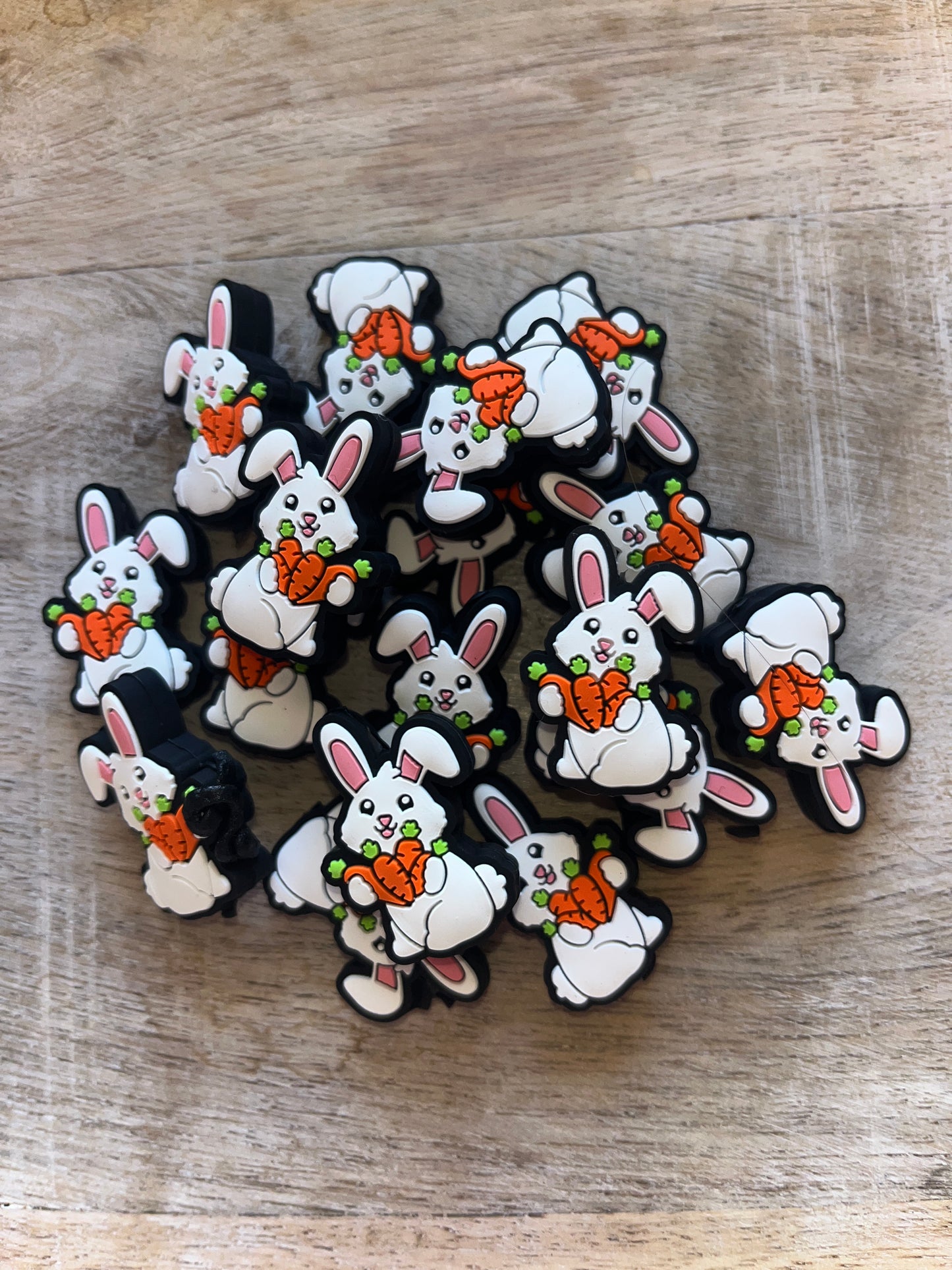 Bunny w/Carrot Focal