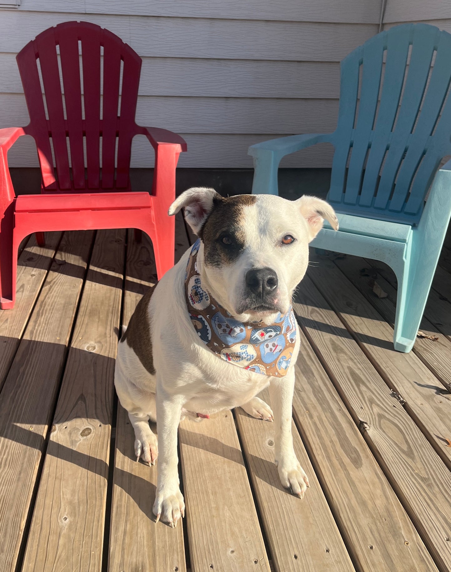 Brown Gingham & Blue Dogs Reversible Dog Bandana