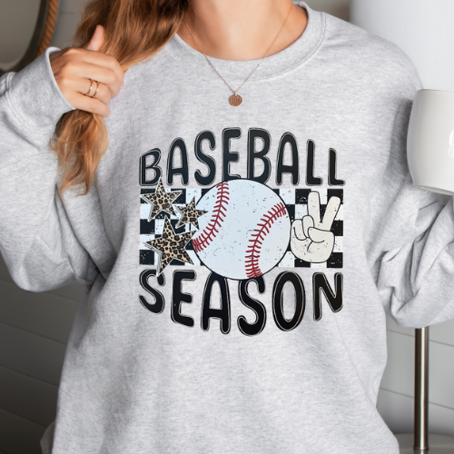 Baseball Season
