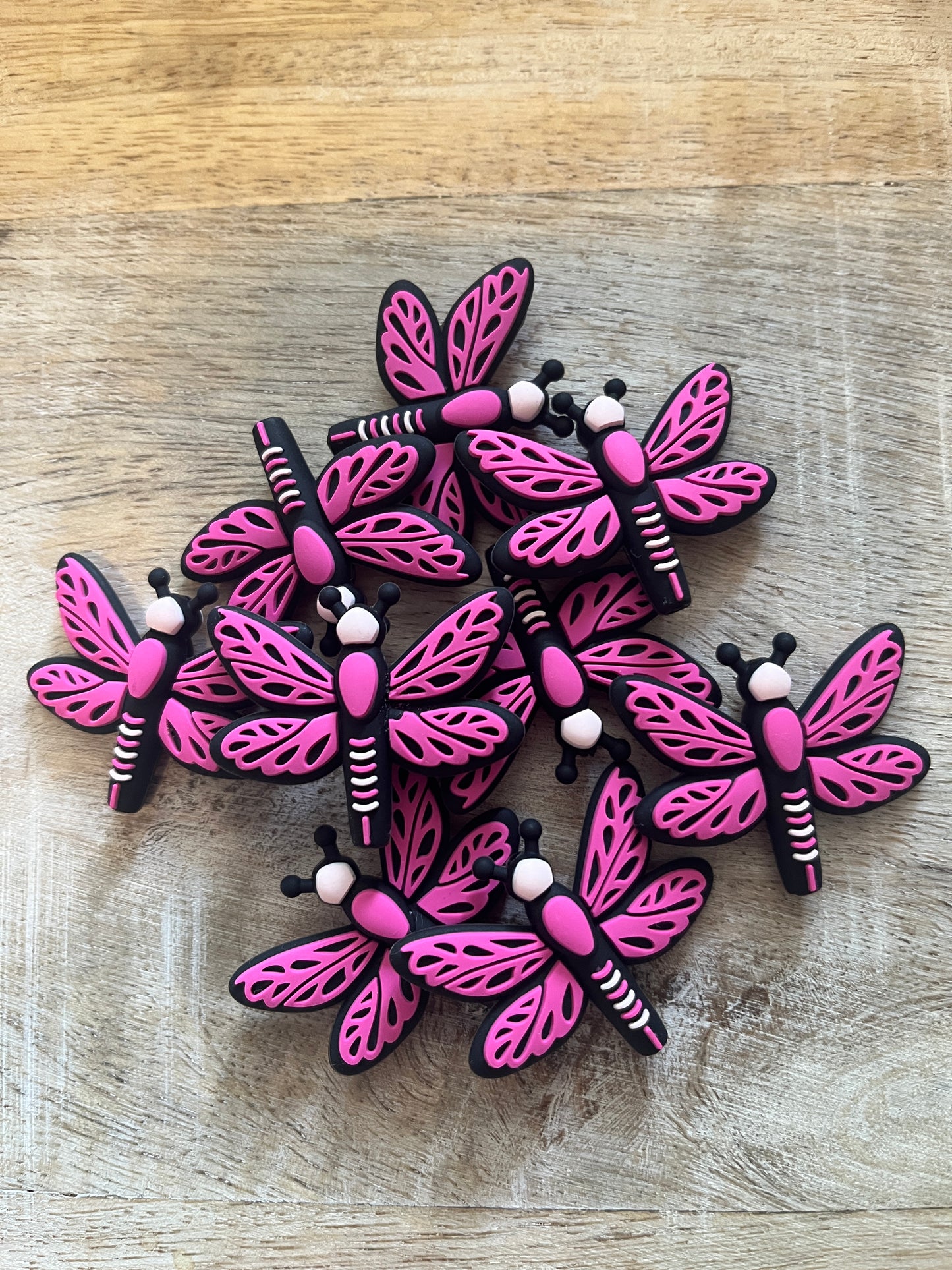 Pink Dragonfly Focal