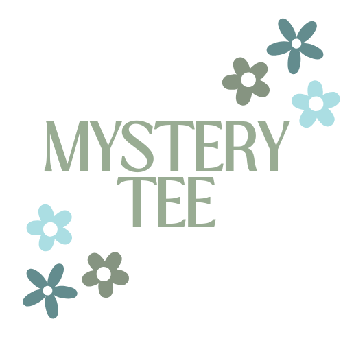 2 Mystery Comfort Colors T-Shirts
