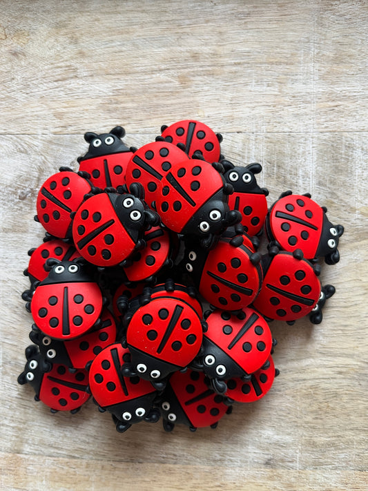 Ladybug Focal