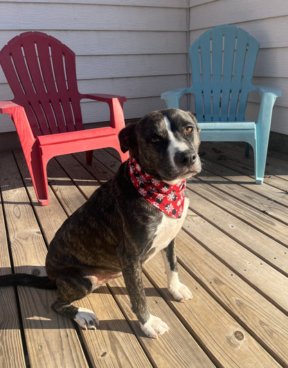 Snowflakes & Santa Reversible Dog Bandana