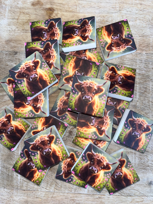 Highland Cow Focal