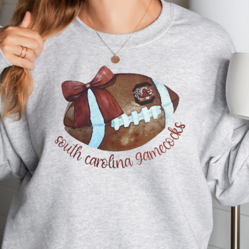 SC Gamecocks